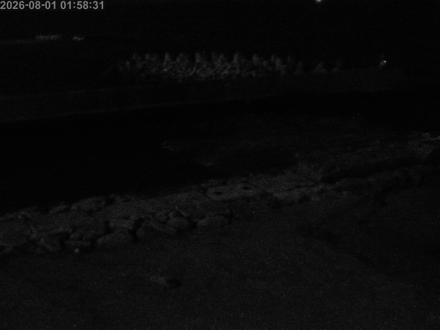 浜村川１2026/08/01 19:30:00
