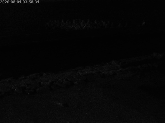 浜村川１2026/08/01 19:30:00