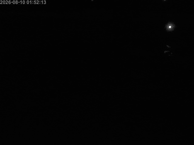 浜村川１2026/08/10 23:00:00