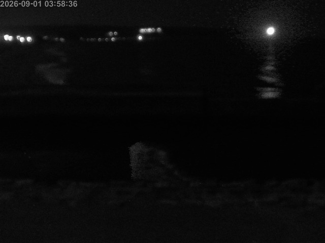 浜村川１2026/09/01 8:20:00