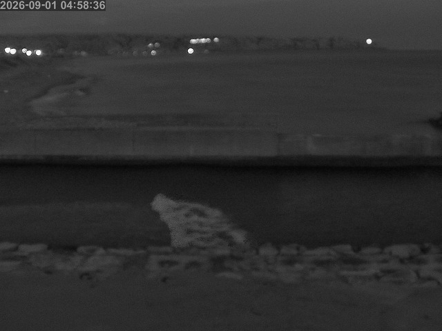 浜村川１2026/09/01 8:20:00