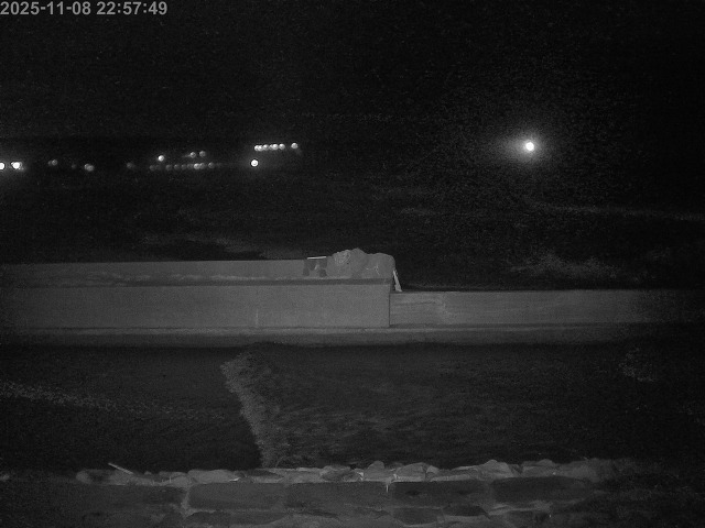 浜村川１2025/11/09 10:00:00