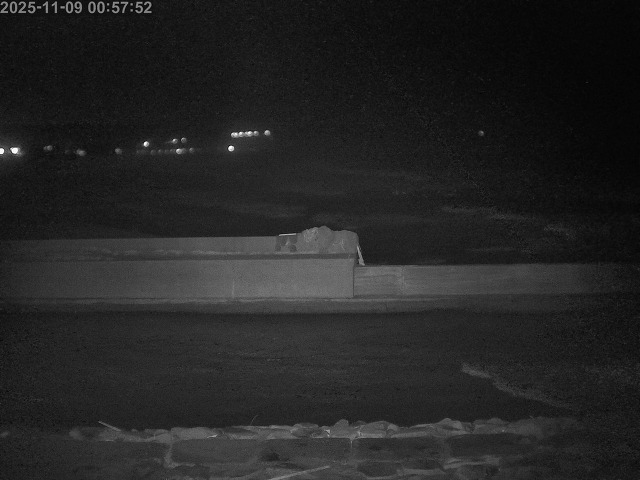 浜村川１2025/11/09 10:00:00