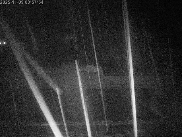 浜村川１2025/11/09 10:00:00