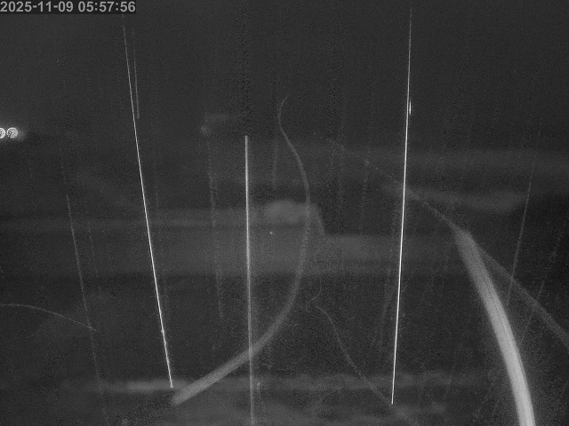 浜村川１2025/11/09 10:00:00