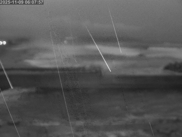 浜村川１2025/11/09 10:00:00