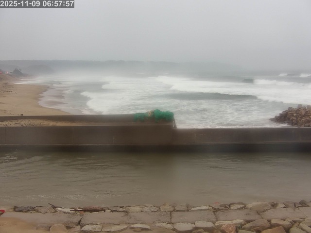 浜村川１2025/11/09 10:00:00