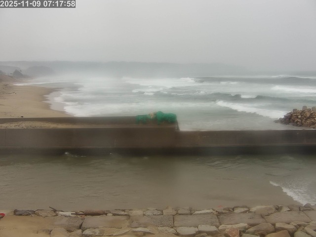 浜村川１2025/11/09 10:00:00