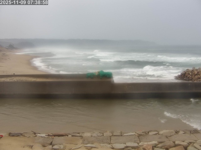 浜村川１2025/11/09 10:00:00