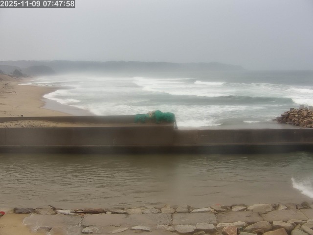 浜村川１2025/11/09 10:00:00