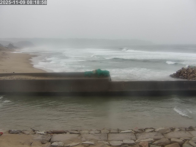 浜村川１2025/11/09 10:00:00