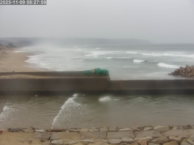 浜村川１2025/11/09 10:00:00