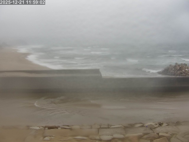 浜村川１2025/12/22 11:40:00