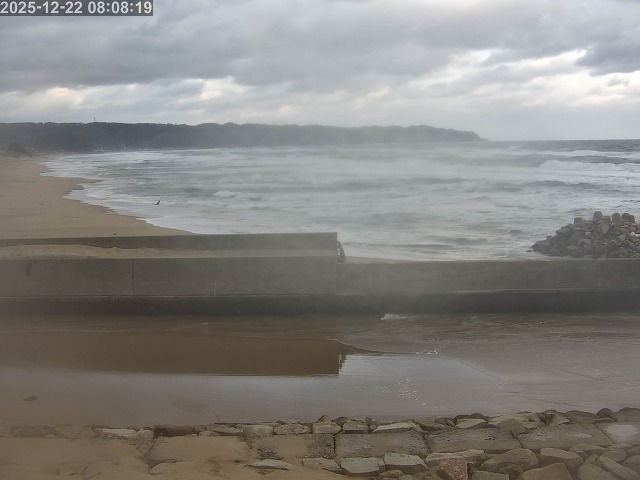 浜村川１2025/12/22 11:40:00