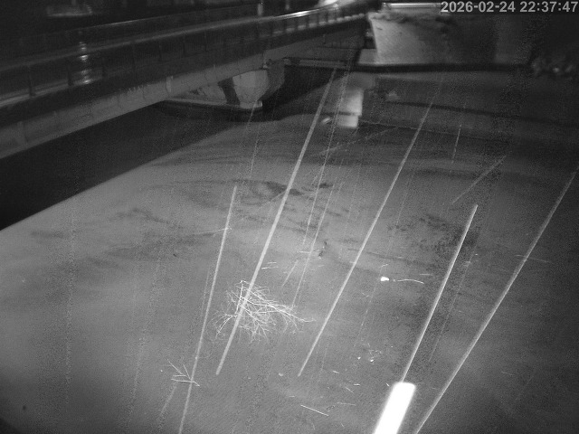 塩見川１2026/02/25 2:40:00