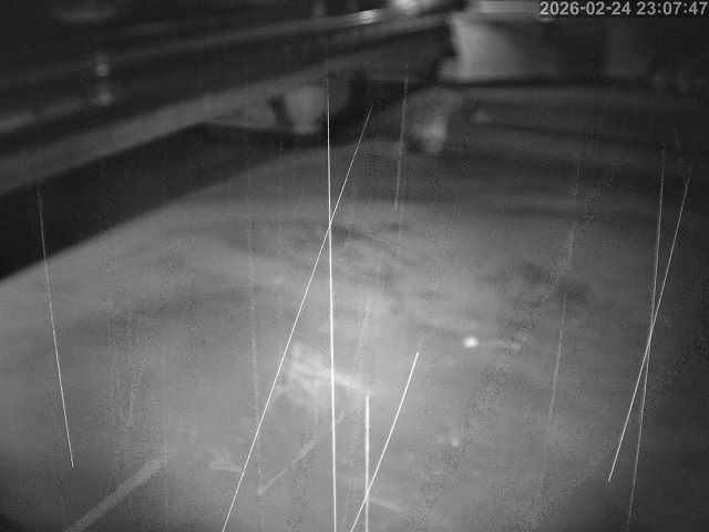 塩見川１2026/02/25 2:40:00