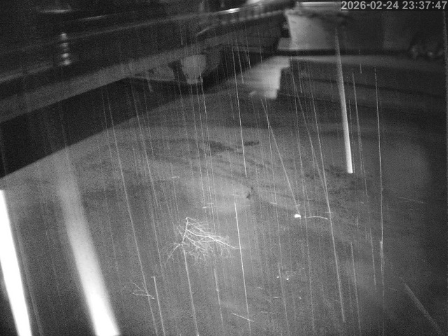 塩見川１2026/02/25 2:40:00