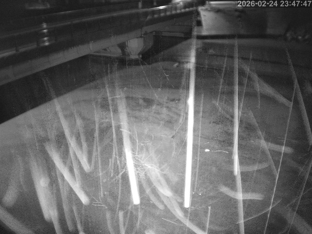 塩見川１2026/02/25 2:40:00