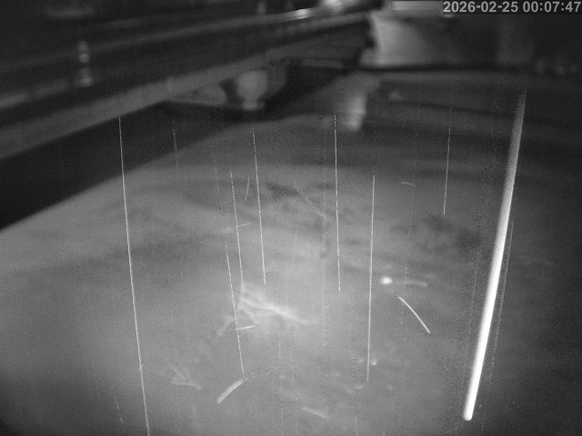 塩見川１2026/02/25 2:40:00