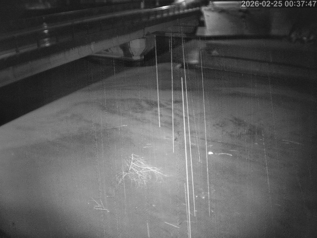 塩見川１2026/02/25 2:40:00