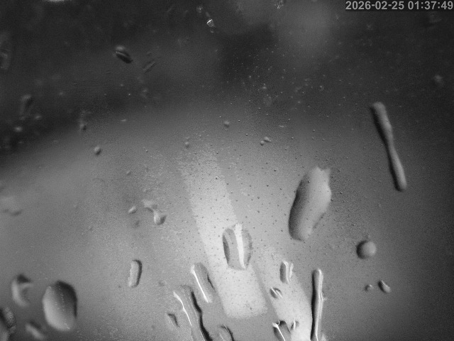 塩見川１2026/02/25 2:40:00