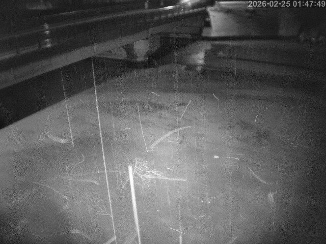 塩見川１2026/02/25 2:40:00