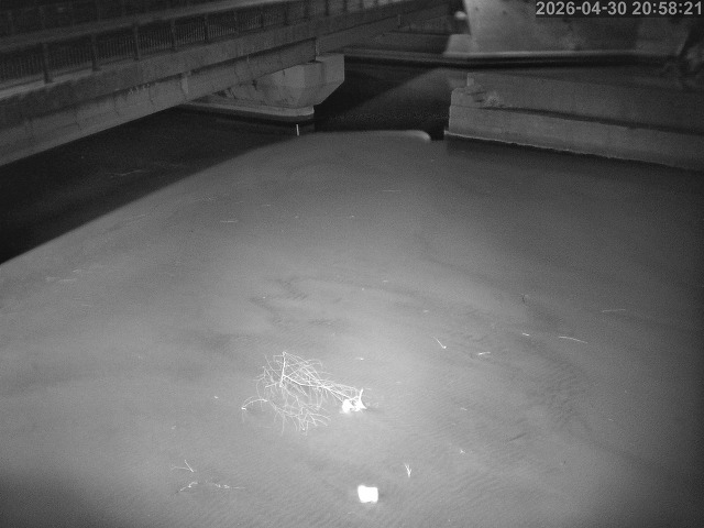 塩見川１2026/05/01 17:00:00