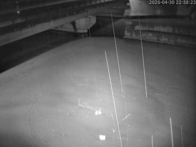 塩見川１2026/05/01 17:00:00