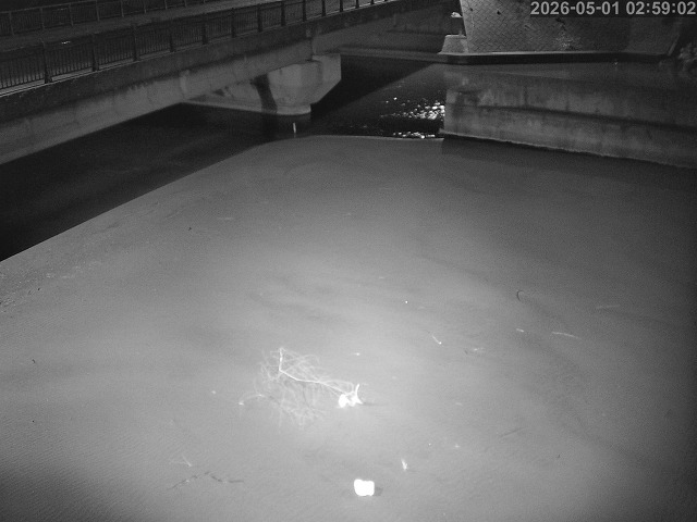 塩見川１2026/05/01 17:00:00