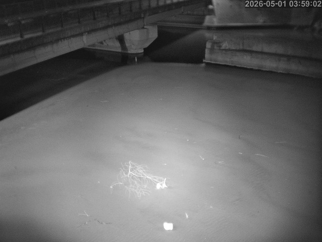塩見川１2026/05/01 17:00:00