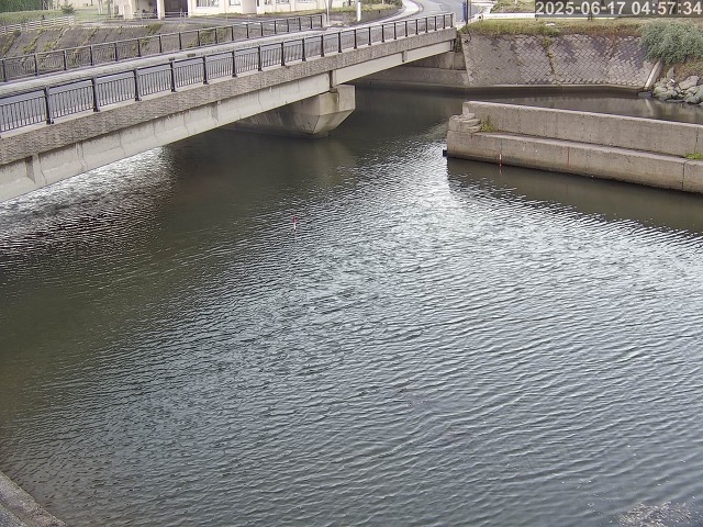 塩見川１2026/06/17 12:00:00