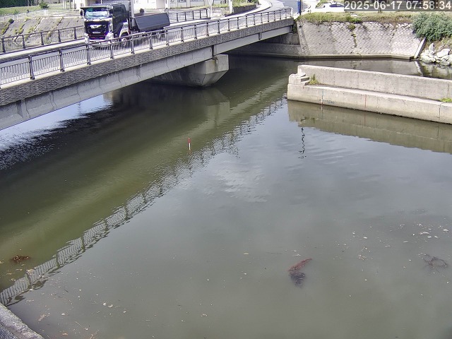 塩見川１2026/06/17 12:00:00
