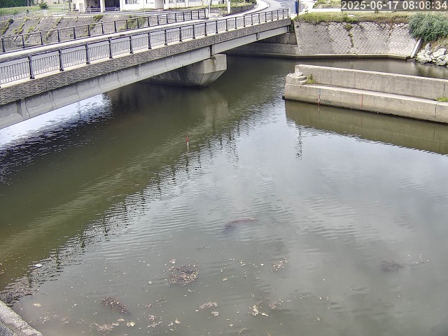 塩見川１2026/06/17 12:00:00