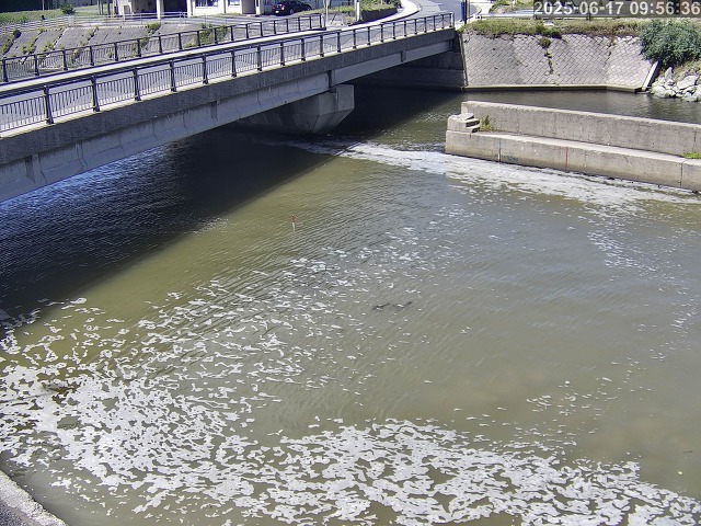 塩見川１2026/06/17 12:00:00
