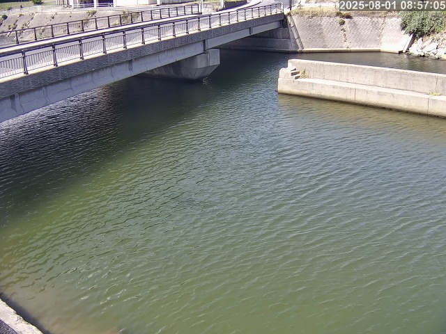 塩見川１2026/08/01 20:50:00