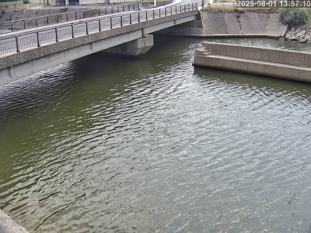 塩見川１2026/08/01 20:50:00