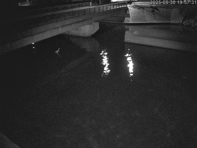 塩見川１2025/08/31 11:20:00
