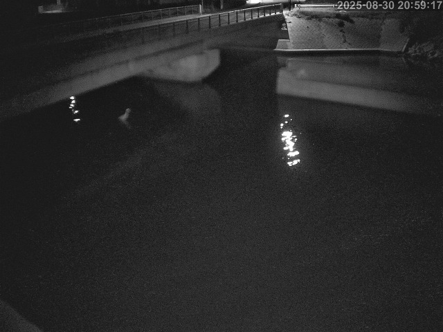 塩見川１2025/08/31 11:20:00