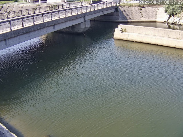 塩見川１2025/08/31 11:20:00