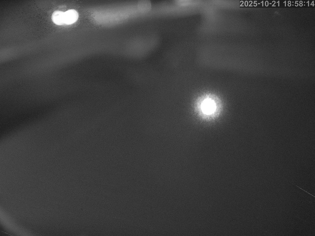 塩見川１2025/10/22 11:20:00