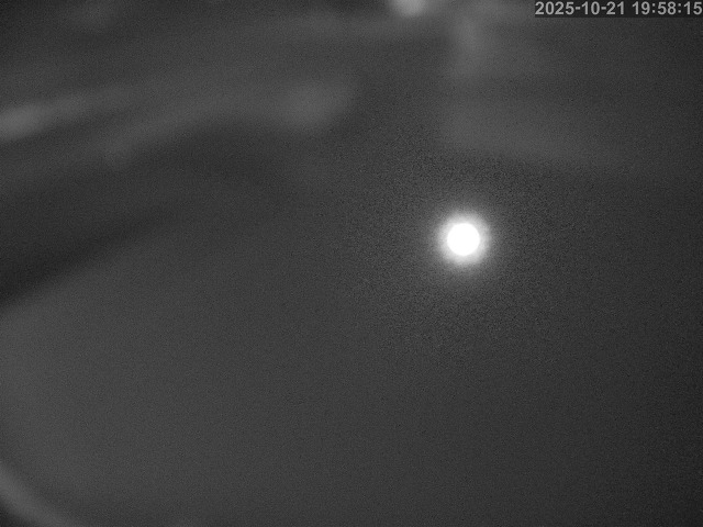 塩見川１2025/10/22 11:20:00