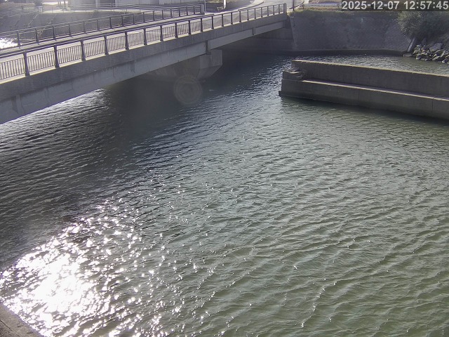塩見川１2025/12/08 11:30:00