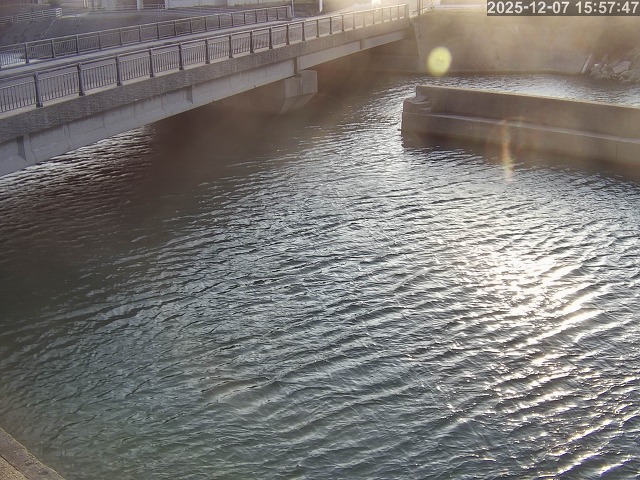 塩見川１2025/12/08 11:30:00