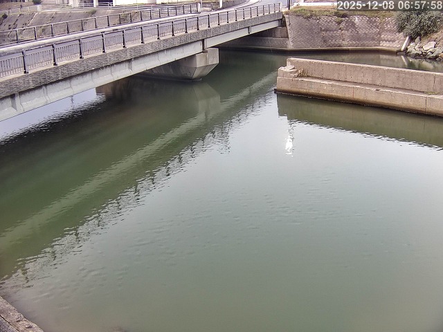 塩見川１2025/12/08 11:30:00