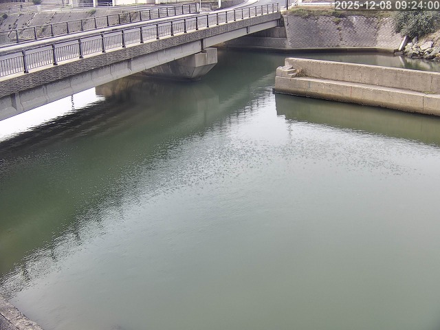 塩見川１2025/12/08 11:30:00