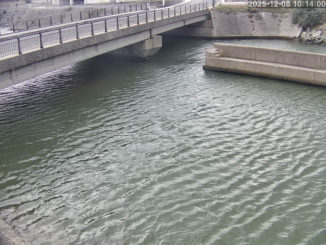 塩見川１2025/12/08 11:30:00