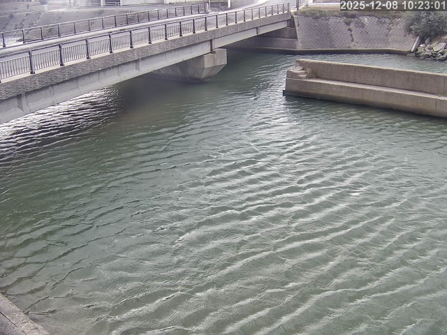 塩見川１2025/12/08 11:30:00