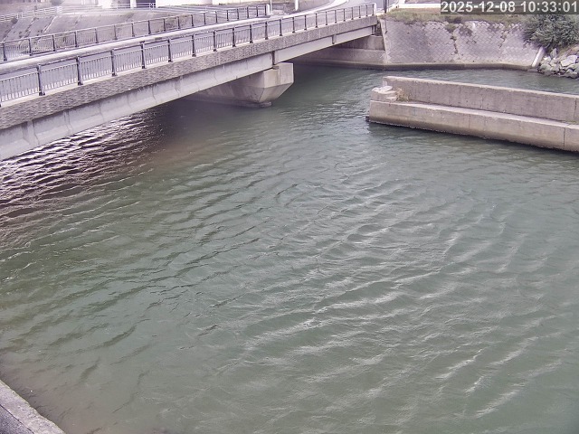 塩見川１2025/12/08 11:30:00