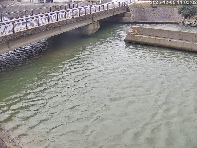塩見川１2025/12/08 11:30:00
