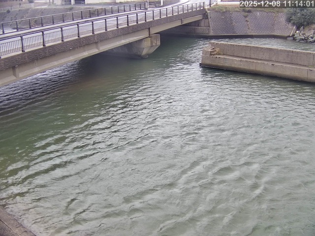塩見川１2025/12/08 11:30:00